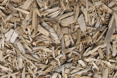 biomass boilers Saxthorpe